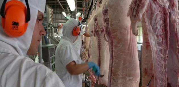 Rondônia receberá inspeção sanitária ainda este ano
