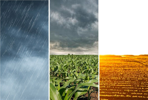 Do Sol à Tempestade: A Previsão do Tempo para o Norte do Brasil