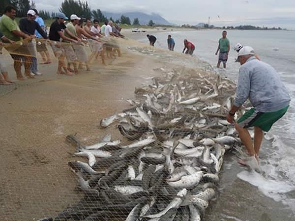 Pesca profissional é regularizada em todo o Brasil