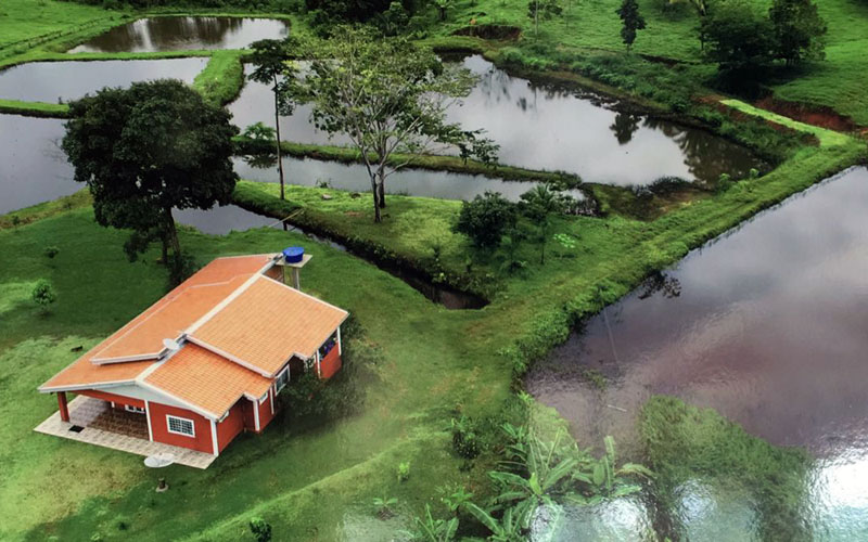 Dia de Campo mostra potencialidade da piscicultura para agricultura familiar
