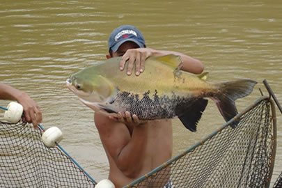 Governo de Rondônia dá incentivo para realização da 1ª Festa do Peixe que acontece neste sábado e domingo em Espigão Do Oeste