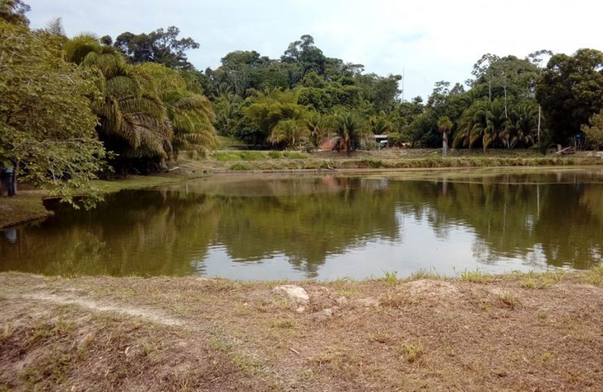Emater-RO promoveu dia especial na piscicultura familiar em Espigão do Oeste