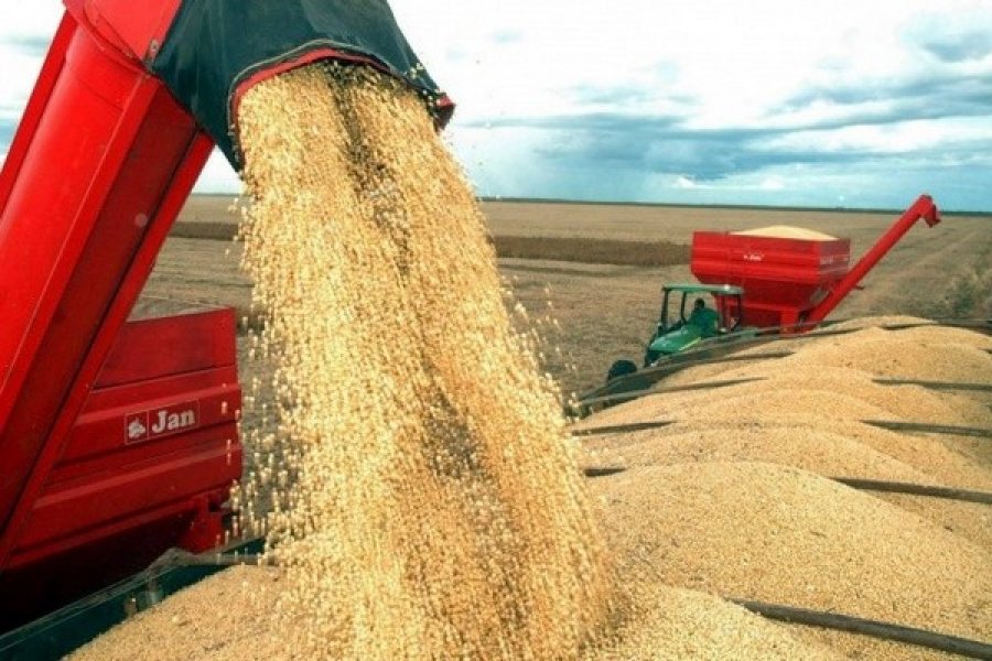 Produtividade não herda sozinha, o agro precisa de gente para o trabalho no campo em todos os segmentos 
