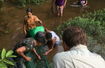 Pescadores de Guajará-Mirim recebem capacitação para captura sustentável de peixes ornamentais