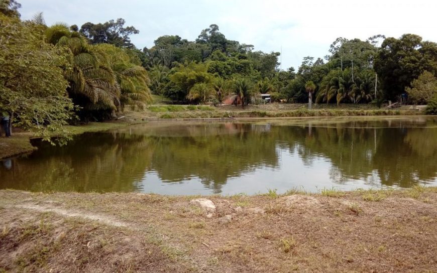 Dia Especial mostra eficiência de desenvolvimento de piscicultura com sustentabilidade