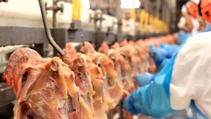 Demanda aquecida no Brasil e no exterior impulsiona a valorização da carne de frango.