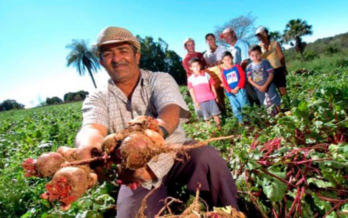Confúcio defende ampliação de crédito fundiário para agricultores familiares