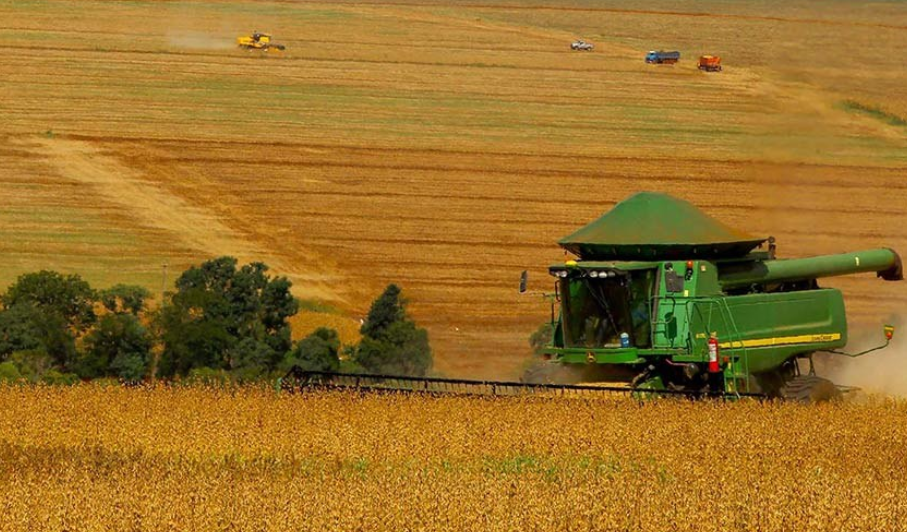 O presidente da República, Jair Bolsonaro, sancionou com vetos a lei que cria os Fundos de Investimento nas Cadeias Produtivas Agroindustriais