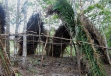 Aparecimento de oito indígenas isolados em Rondônia preocupa Funai e indigenistas