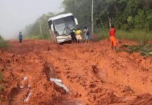 Recuperação da BR-319: Viabilidade Técnica e Impactos Econômicos na Integração Regional no Norte do Brasil