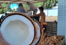 Agroindústria Kolly começa produção de cocadas no Rio Grande do Norte
