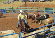 Prova de Ranch Sorting deve movimentar os amantes do esporte neste fim de semana em Itapuã do Oeste Com a popularidade em crescimento, o Ranch Sorting promete se tornar uma modalidade cada vez mais reconhecida e respeitada