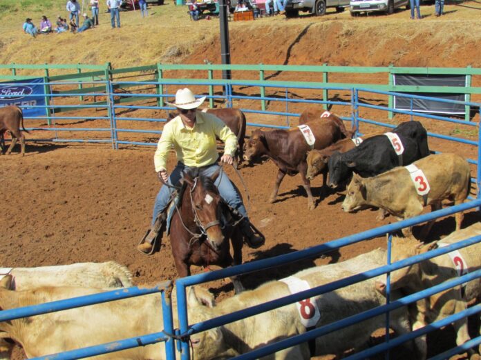 Com a popularidade em crescimento, o Ranch Sorting promete se tornar uma modalidade cada vez mais reconhecida e respeitada