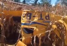 Avião de pequeno porte cai e piloto sai sem ferimentos na zona rural de RO