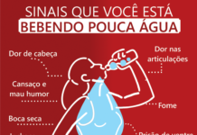 Qual a importância da água para o corpo?