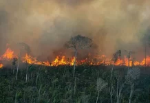 Forças Armadas vão atuar no combate às queimadas na Amazônia e Pantanal