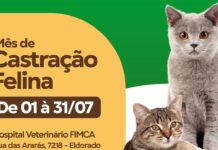 A Importância da Castração para os Animais e sua Saúde