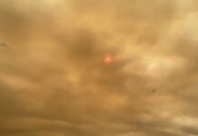 Cercados pelos incêndios no Pantanal, moradores de MS relatam rotina de caos: ‘parece que o fogo está no meu quarto’