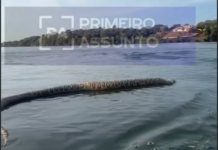 VÍDEO: Uma cobra gigante morta foi flagrada boiando no Lago da Usina Hidrelétrica
