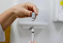 Dengue: Brasil ultrapassa 6 milhões de casos e 4,2 mil mortes
