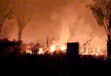 Após pedido do MPRO, Corpo de Bombeiros confirma envio de equipes para o Parque Estadual Guajará- Mirim