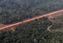 Justiça do Amazonas suspende licença prévia para obras na BR-319