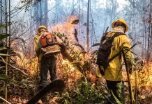 VÍDEO: Incêndio de grandes proporções no Parque Estadual Guajará-Mirim já dura mais de um mês