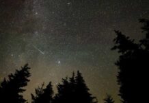 Chuva de meteoros Perseidas será visível neste fim de semana; saiba como ver