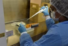 Testagem inédita de hepatite D é realizada no Norte do país