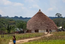 Projeto investiga contaminação por metais e agrotóxicos na Terra Indígena Yanomami