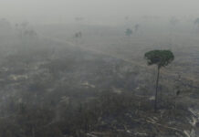 Fumaça que atormenta Porto Velho tem origem em áreas com terra arrasada e destruição contínua