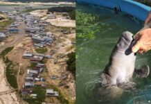 Seca de rios favorece a atividade ilegal de caça e pesca na Amazônia