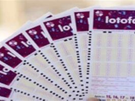 Lotofácil da Independência, sai para 86 apostas e 51 apostas de Rondônia acertaram 14 números