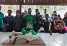 Sistema FAPERON/SENAR leva capacitação em cacauicultura para indígenas Cinta Larga Sistema FAPERON/SENAR leva capacitação em cacauicultura para indígenas Cinta Larga