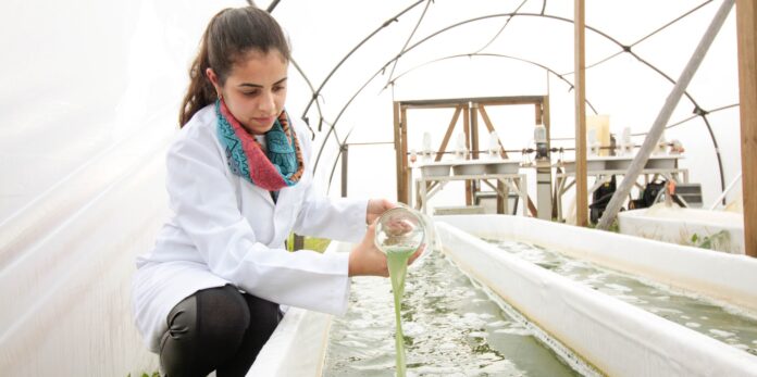 Parabenizamos todos os engenheiros de pesca, que são profissionais essenciais na cultura, criação, captura e industrialização de organismos aquáticos.
