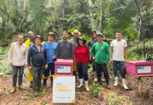 Semagric promove ação para fortalecimento da apicultura em Porto Velho