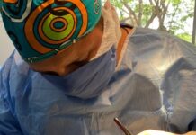 Veterinária estuda uso terapêutico da pele de tambaqui A pele do tambaqui, em comparação com a da tilápia, apresenta características morfológicas e histológicas superiores, que incluem maior resistência tecidual e menor deformidade