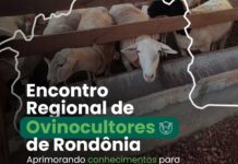 Sistema FAPERON promove 1º Encontro Regional de Ovinocultores em Rondônia o 1º Encontro Regional de Ovinocultores de Rondônia: Aprimorando Conhecimentos para o Sucesso na Criação de Ovinos