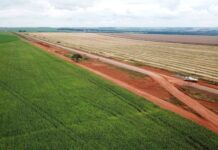 Com R$ 1,2 bi em 2024, BNDES amplia aprovações de crédito para Rondônia