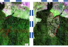 BNDES usa imagens de satélite para barrar empréstimo a desmatadores