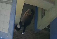 Homem que estuprou mulher em posto de gasolina abandonado é preso