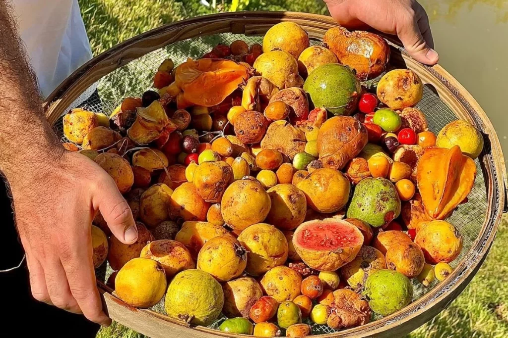 Na propriedade, em São João da Boa Vista, excedente de frutas virou solução. Foto: Felipe Meireles/Arquivo Pessoal