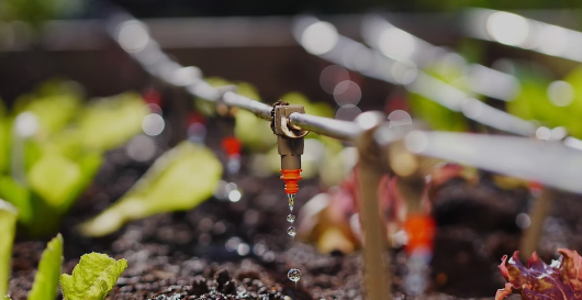 Neste Dia Mundial da Água, é fundamental que reflitamos sobre as práticas agrícolas