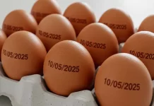 País tem recorde na produção de ovos, abate de bovinos, frango e porco