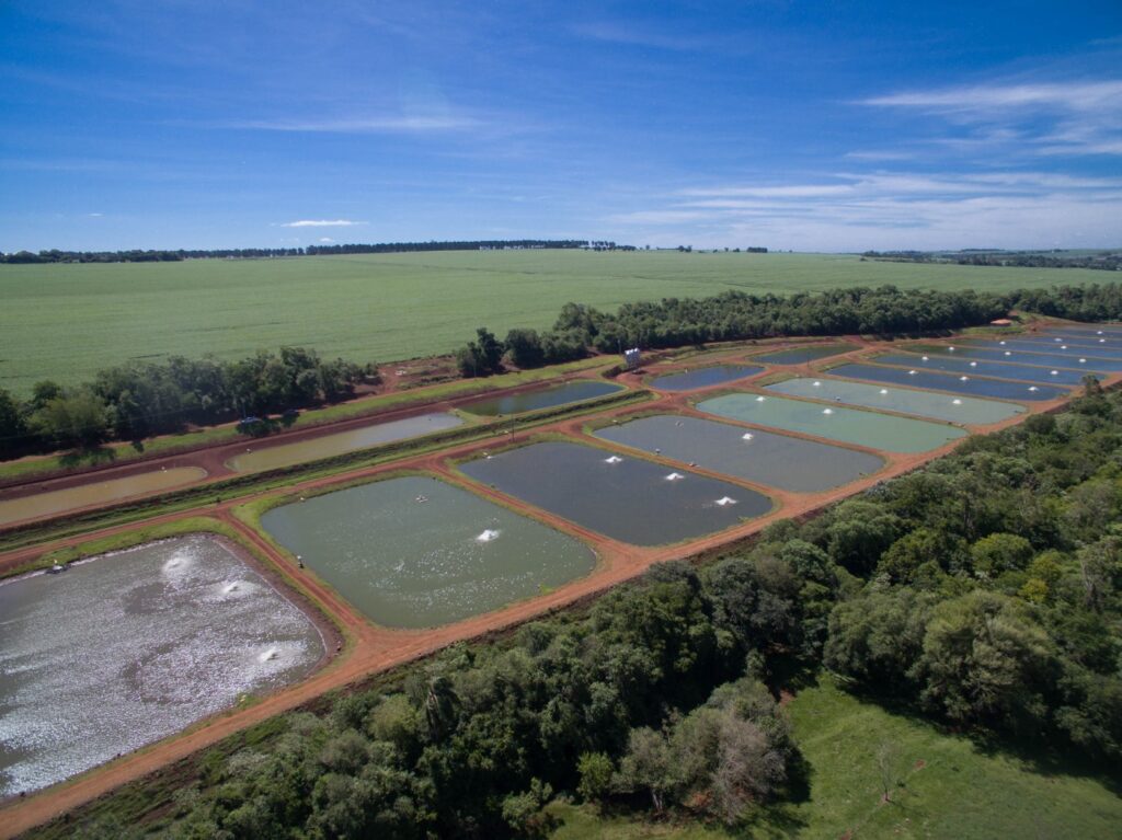 O mercado pesqueiro está crescendo rapidamente, e Rondônia tem mostrado um grande potencial nesse ramo