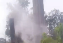 VÍDEO: Risco de choque elétrico coloca comunidade Terra Santa em perigo