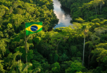 Como Rondônia pode brilhar no palco mundial da sustentabilidade, a COP30