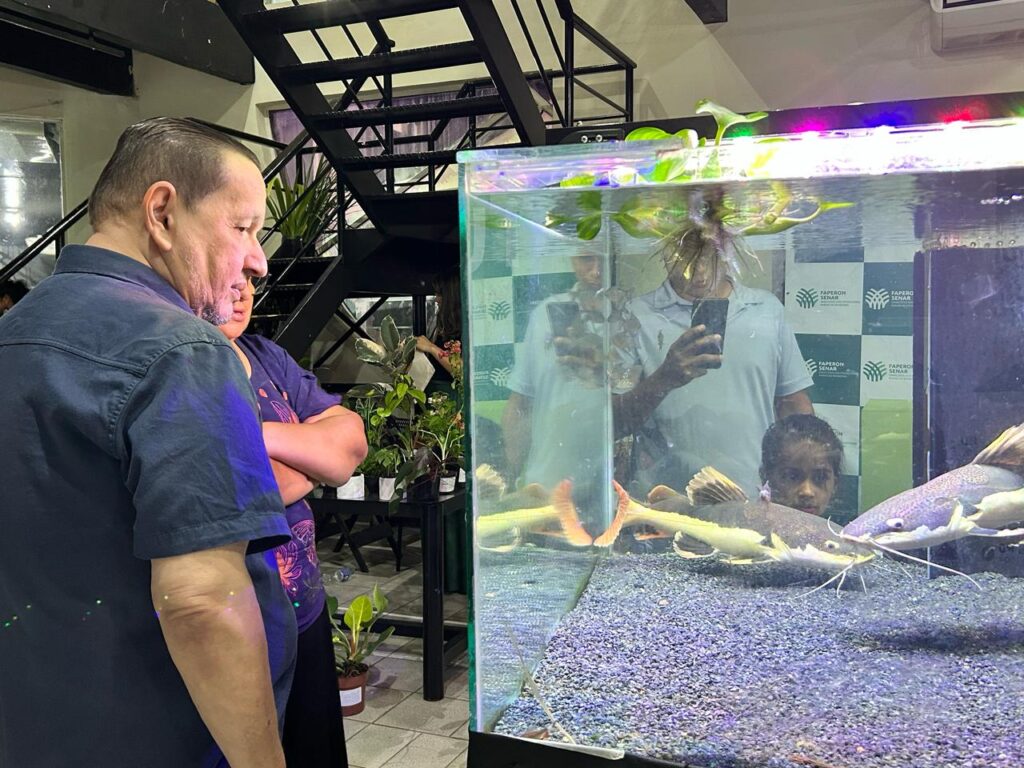 O festival apresentou uma verdadeira imersão no universo dos rios amazônicos. Entre os destaques estavam os belos exemplares de peixes nativos expostos em grandes aquários