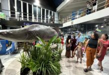 2º Festival Peixes da Amazônia é sucesso de público e negócios, com a união de cultura e conhecimento Realizado entre os dias 16 e 21 de abril, o evento recebeu cerca de 7 mil visitantes e contou com entrada gratuita, das 16h às 21h