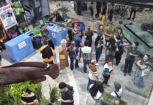 Festival destaca gastronomia, conhecimento e cultura no primeiro dia do 2º Festival de Peixe da Amazônia A iniciativa buscou valorizar tanto a inovação quanto os saberes tradicionais que moldam a pesca na região amazônica